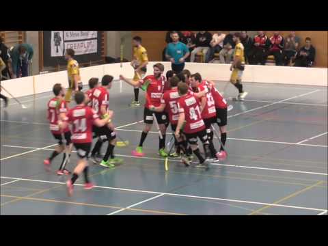 2. Playoff Halbfinal Unihockey Basel Regio vs UHT Eggiwil