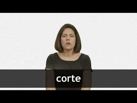 ENGLISH TRANSLATION OF CORTE visual data 6