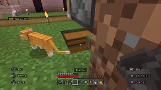 【緑のマイクラ生放送】回線不安定。がんばれポケットWi-Fi