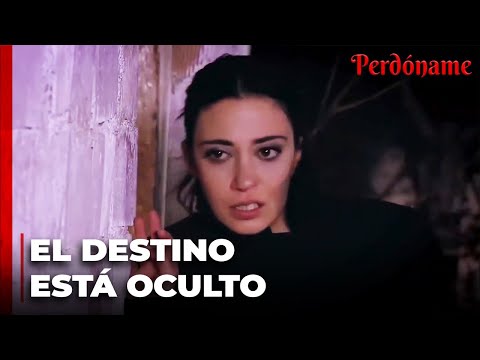 El destino huye de sus acreedores - Perdóname