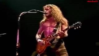 Ted Nugent - Scream Dream (Live)