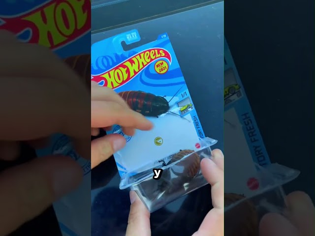 Vídeo relacionado con Get Trend Hot Wheels Calzoncillos Niño 2-7 Años, Pack de 3 Boxers con Cintura Elástica, Ropa Interior para Niño de Algodón Suave, Regalo Niños (4-5 Años, Multi Hot Wheels)