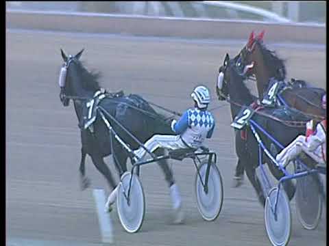 Trotto 03/11/2017 - 3ª corsa