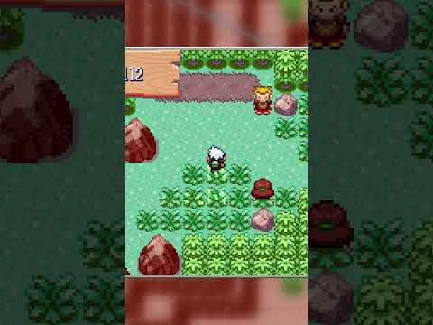 AFK Experience in Pokémon Ruby and Sapphire!
