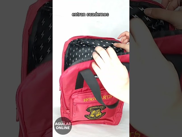 Vídeo relacionado con HARRY POTTER CAPTAIN - Mochila Escolar Infantil, Ideal para Niños de Diferentes Edades, Cómoda y Versátil, Calidad y Resistencia, 32x15x42 cm