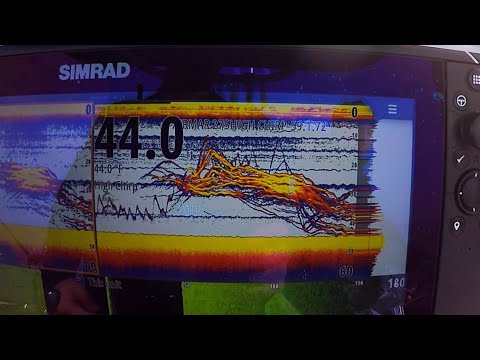 What fish look like on sonar. Airmar 275 High Wide Transducer. Simrad Evo 3 NEW A SCOPE