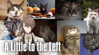 【A Little to the Left】飼い猫の妨害を受けながらアイテムを整理するゲーム【にじさんじ/加賀美ハヤト】
