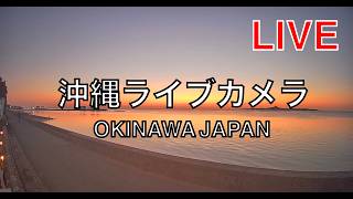 本部町・備瀬の浜