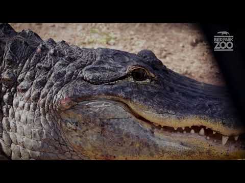 It's All About Teamwork