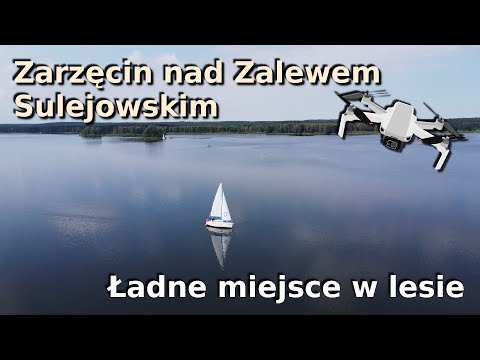 Zarzęcin. Zalew Sulejowski.  Ładne miejsce w lesie i przystań. Aktualne ceny. Dron