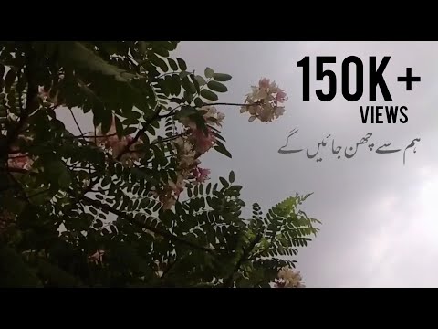 Aik din Aap yun hum se Chin jayengy.....