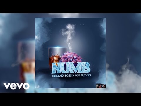 Ireland Boss, Wai Fuzion - Numb (Official Visualizer)