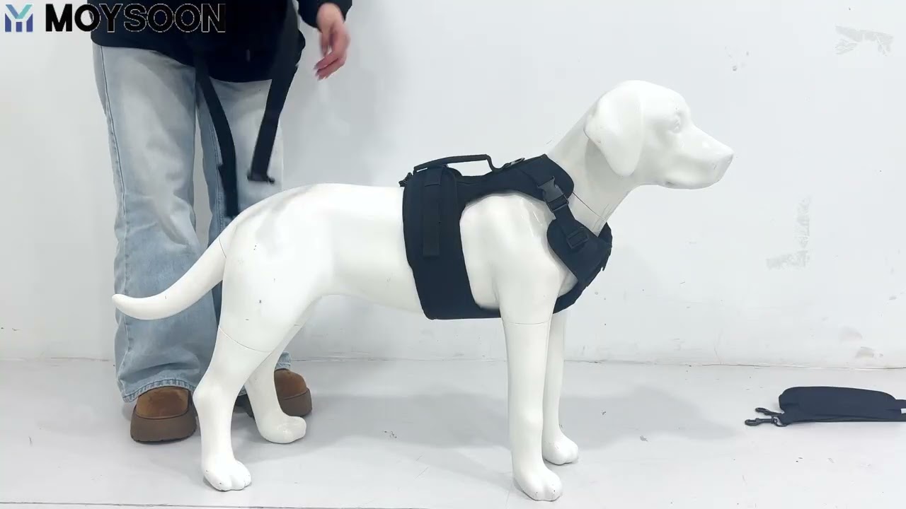 Dog Lift Harness Installation Video