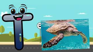 A for apple 🍎 B for ball 🏐 C for cat 🐈 D for dog 🐕.