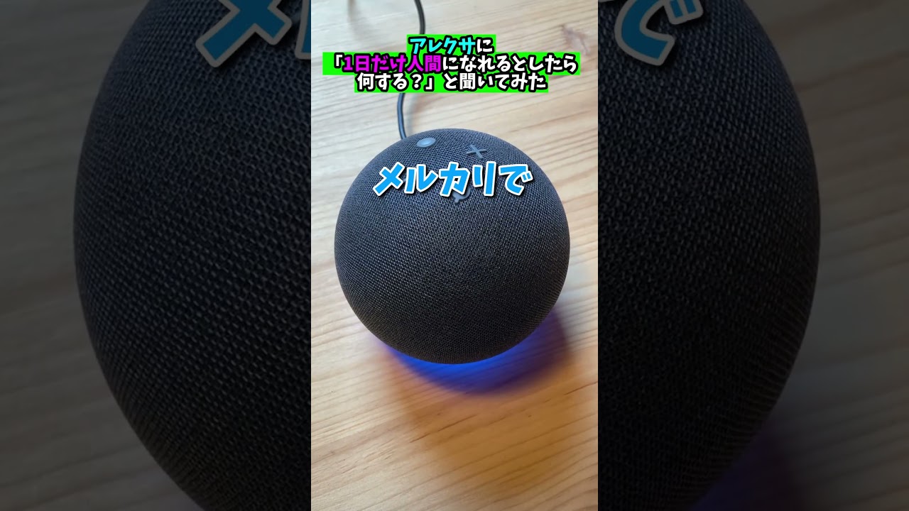 アレクサに「1日だけ人間になれるとしたら？」と聞いてみた #アレクサ #ホラー