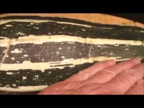 download lagu mp3 mp4 Stuffed Marrow Recipe Nz, download lagu Stuffed Marrow Recipe Nz gratis, unduh video klip Stuffed Marrow Recipe Nz