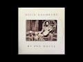 David Bromberg – Kitchen Girl