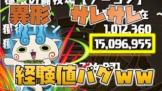 【パズドラ】異形の存在　マルチサレサレコマさんSの周回編成紹介！　経験値量がやば過ぎるｗｗ