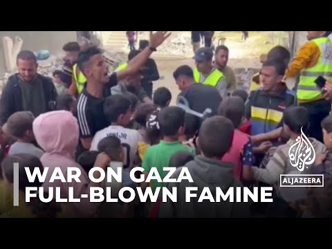 Full-blown famine' in north Gaza: UN thousands of Palestinians are starving