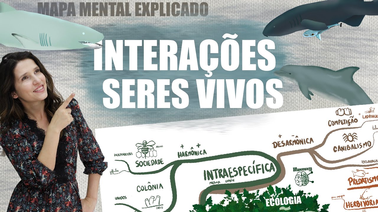 ECOLOGIA - INTERAÇÕES SERES VIVOS | Mapa Mental Explicado
