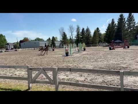 Beaulieu Springbreak video 2