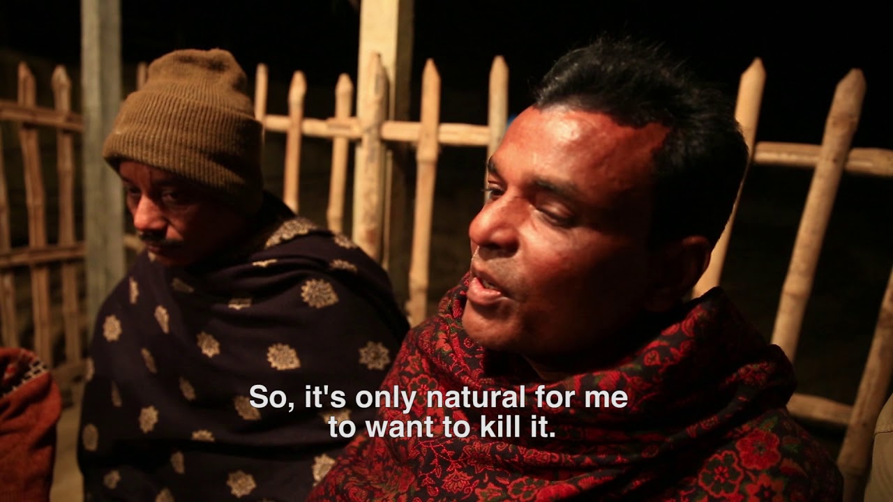 MACHBAGHA - The Fishing Cat, The Fishing Cat Project