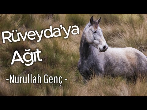 Nurullah Genç - Rüveyda'ya ağıt (şiir)