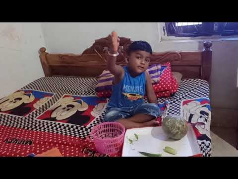 Ayushman fruits assignment