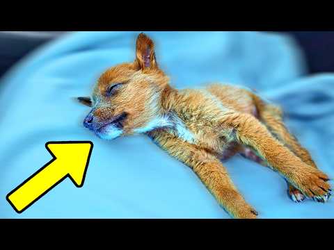 He Barely Survived After This Happened