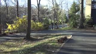 Sony Powershot W570 Review