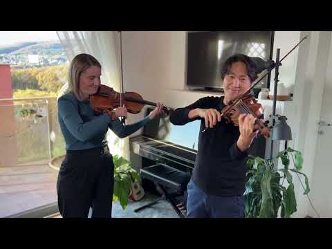 Mozart 12 Duets, K 487  No  1 Allegro