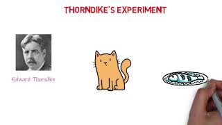 Thorndike's Experiment