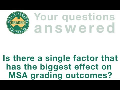MyMSA Series FAQ: Grading Factors