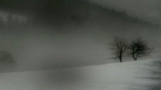 ▶ Cuando la luz oscurece - Rata Blanca