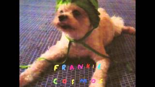Frankie Cosmos - Zentropy (Full Album)