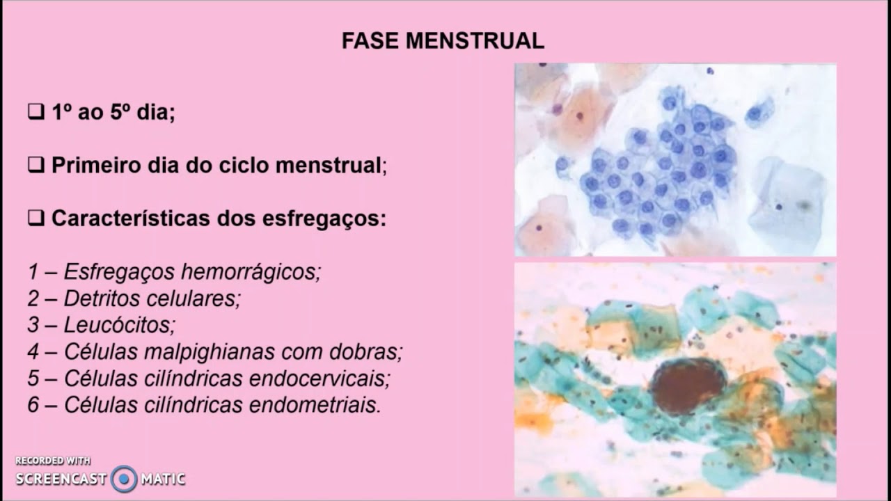 [Aula 02] Citologia Hormonal