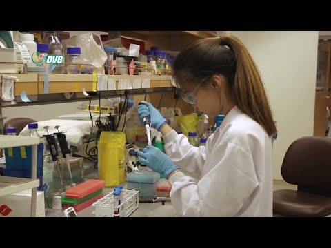 ဒီဗြီဘီ ႐ုပ္သံ ညေနခင္း သတင္းမ်ား (DVB TV 25.03.2020 Evening News)