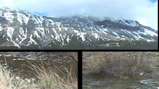 SHOW ME THE ROAD.mov