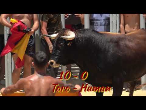 3° ~ Fiestas de Dénia - Bous a la Mar