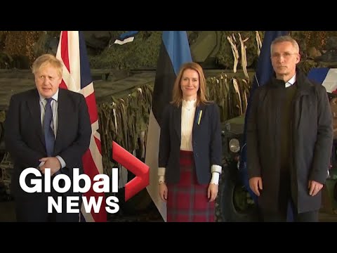 Russia-Ukraine conflict: Estonia calls on NATO for stronger defence of its Baltic members