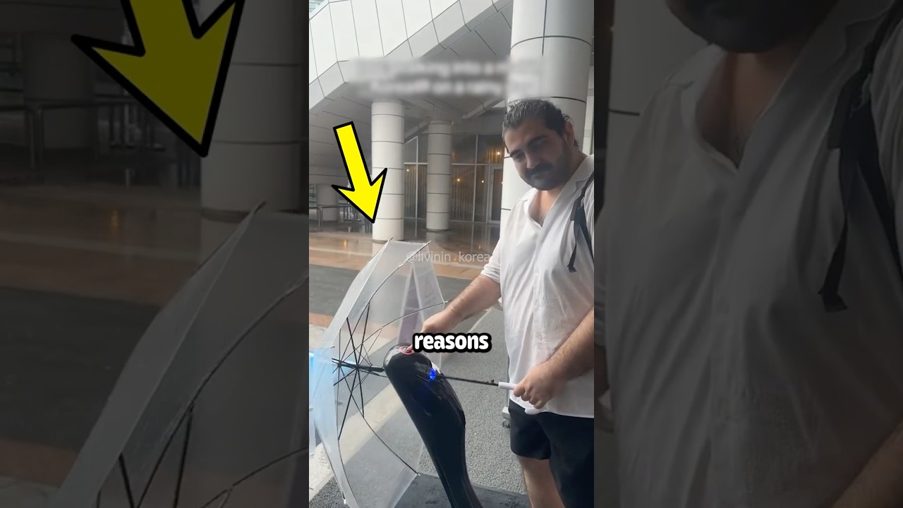 Winter in Korea is soooo beautiful 😍