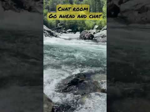 chat room talk with strangers or friends!￼