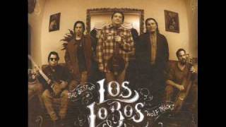 LOS LOBOS -  EVANGELINE