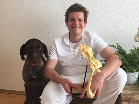 Hernie sakrale Wirbelsäule ohne Operation Dass eine solche gemeinsame Osteosklerose