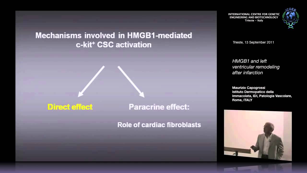M. Capogrossi - HMGB1 and left ventricular remodeling after infarction