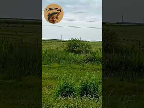 Buena ruta nomás!!! llendo para Entre Ríos Basavilbaso.