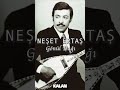 Neşet Ertaş - Gönül Dağı