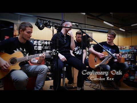 Centenary Oak - Carolus Rex (Sabaton acoustic cover)