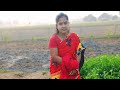 Village Life With Maloti Is Live