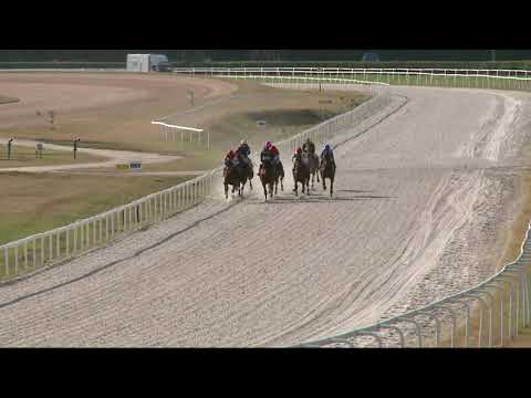 2021.09.11. 07. futam - CONNOLLY'S RED MILLS HENDIKEP (III.o.) (szintetikus pálya)